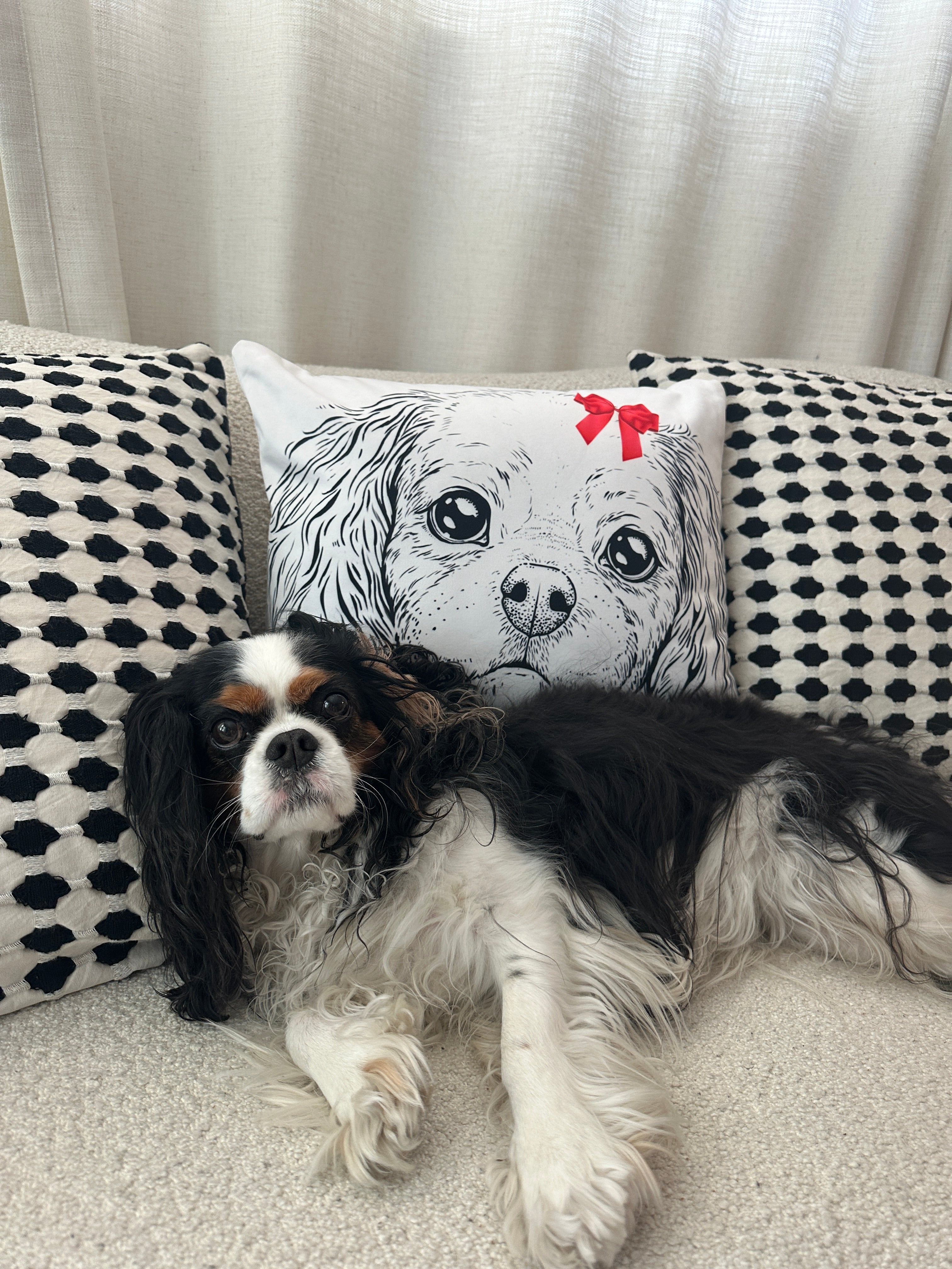 Cavalier King Charles Spaniel Festive Pillow